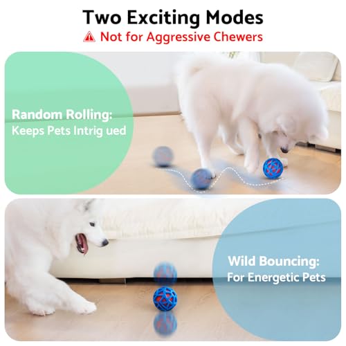 Interactive Dog Toys (Orange)