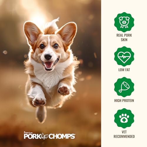 Roasted Pork Skin Dog Chew 3in Donuts Chicken 2ct (3.35 Ounce (Pack of 1))
