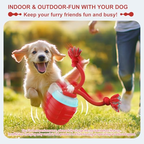 Interactive Dog Toy (Red / Medium/Large)