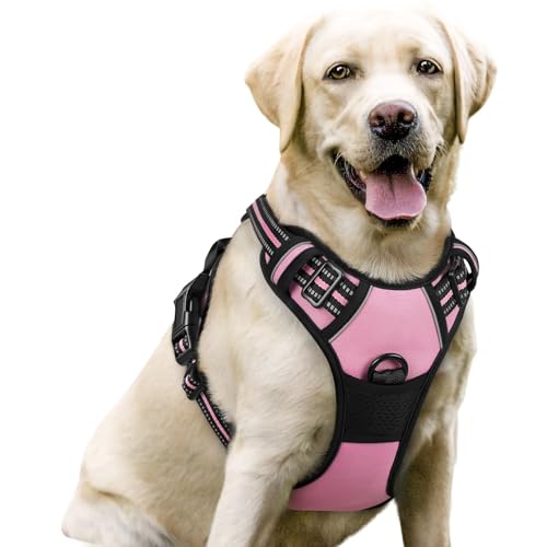 Dog Harness No Pull for Large Dogs with 2 Leash Clips (Large / Pink)