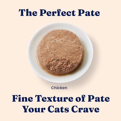 Indoor Wet Cat Food (24 Pack)
