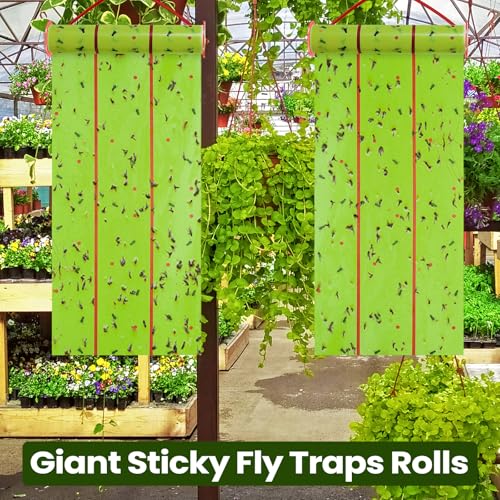 3 Pcs Giant Flypaper Fly Traps (Fluorescent Green)