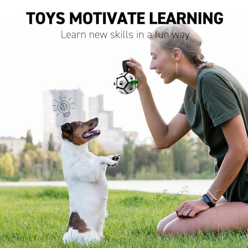 Small Dog Toys (Green-Black / Extra Small Size 0 (3.5 Inch))