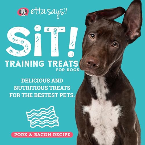 Sit Training Treats