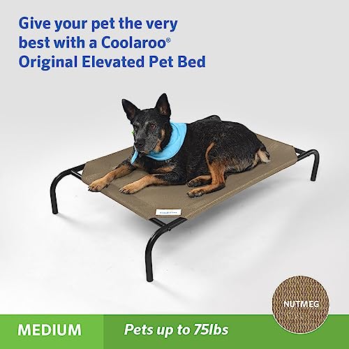 Original Elevated Dog Bed (Medium Dog Bed / Nutmeg (Pack of 1))