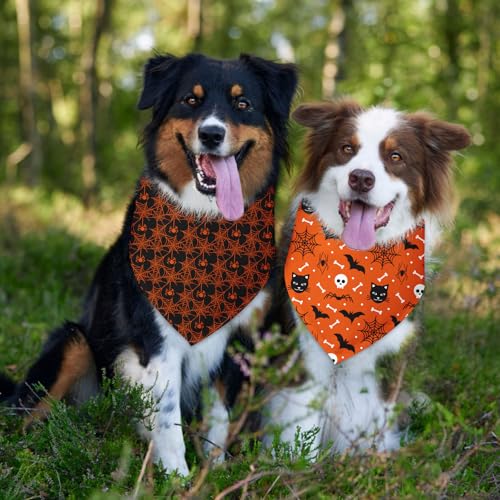 Halloween Bandanas for Dogs 2 Pack Thanksgiving Halloween Holiday Pumpkins Ghosts Spider Web Fall Dog Bandanas Pet Scarf Accessories for Small Medium Dogs & Cats (C)