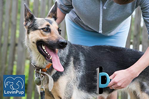 Cat & Dog Brush for Shedding (Grooming Brush)