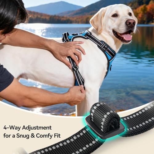 No Pull Dog Harness Medium Reflective Front Clip Puppy Vest (Medium / Blue)