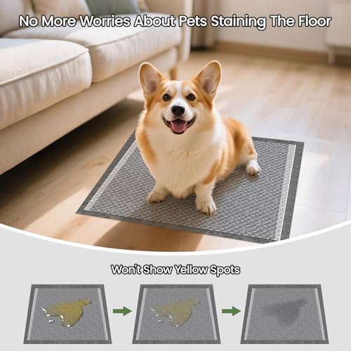 Charcoal Small Puppy Pads Pee Pads for Dogs 22"x22" 80 Count (80 Count (22"x22"))