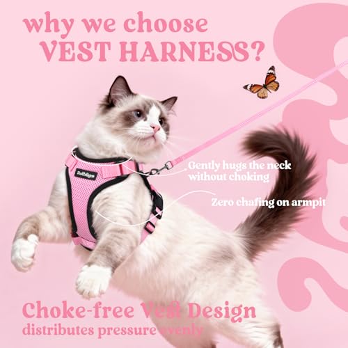Cat Harness and Leash Set (M / Pink)
