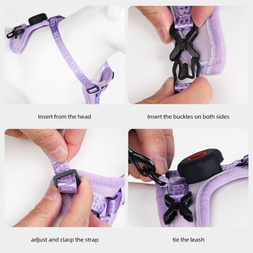 Cat Harness Leash Set with AirTag Holder (Purple for Airtag / M)
