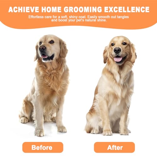 Cat Steam Brush for Cats & Dogs (White)