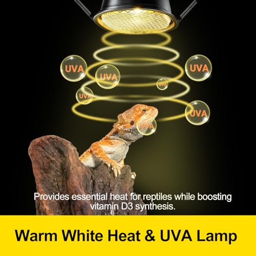 G9 Reptile Heat Lamp Combo Kit (Warm White)