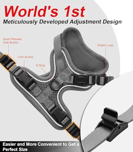 Cat Harness and Leash for Walking Escape Proof Soft Adjustable Cat Leash (Grey / S (7-12lb))