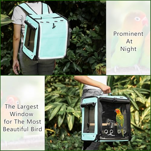 Bird Carrier with Seat Belt for Car Travel (13.5"L x 10.0"W x 15.5"H / Green)