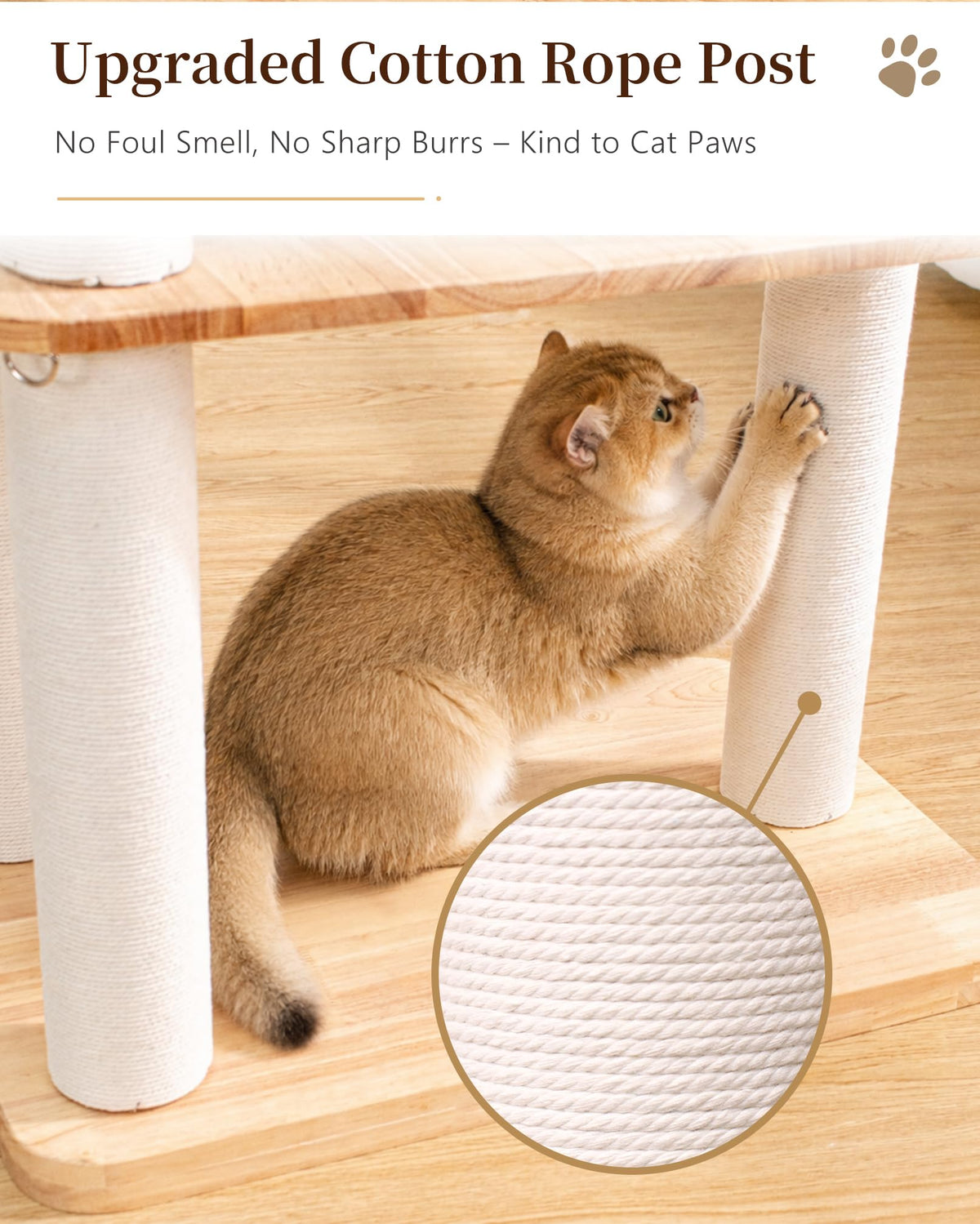 Wood Cat Tree for Large Cat (Nature DC888)