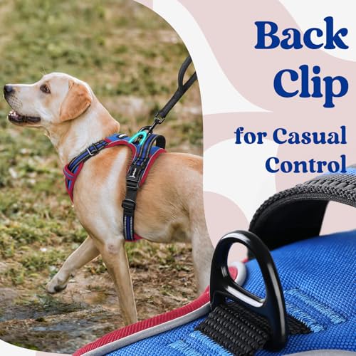 Dog Harness for Large (Blue & Red / Large)
