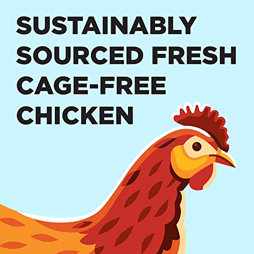 Liberty Dry Food Chicken Recipe for Cats
