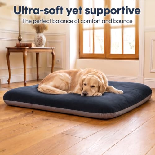 Orthopedic Medium Dog Bed 32 Inch (32.0"L x 24.0"W x 3.0"Th / Dark Grey)