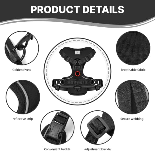 Cat Harness Leash Set with AirTag Holder (Black for Airtag / XL)