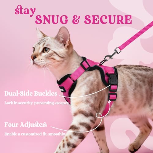 Cat Harness and Leash Set (S / Rose Red)