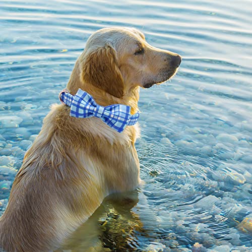 Dog Collar with Bow (Blue Plaid / X-Large (Pack of 1))