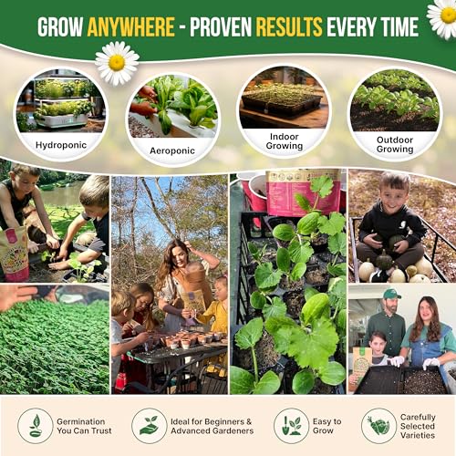 15 Medicinal & Tea Herb Seeds Variety Pack 6