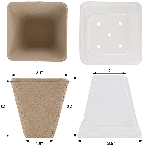Seed Starter Peat Pots (Square)