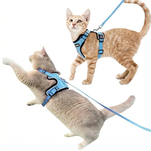 2 Pack Escape (Sky Blue / S)