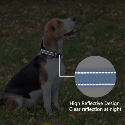 Reflective Dog Collar (Blue / L:width 1"neck 17.5-27")