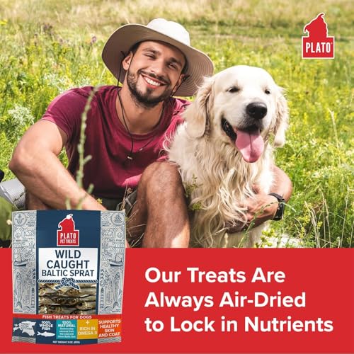 Pet Treats Fish Dog Treats