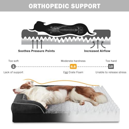 Orthopedic Dog Bed for Large Dogs (Black / L (35"x 25"x 6.5"))