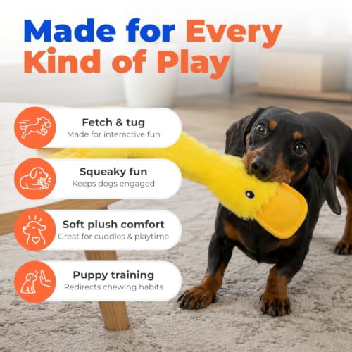 Interactive Squeaky Dog Toy (Crinkle Duck (Yellow) / Large)