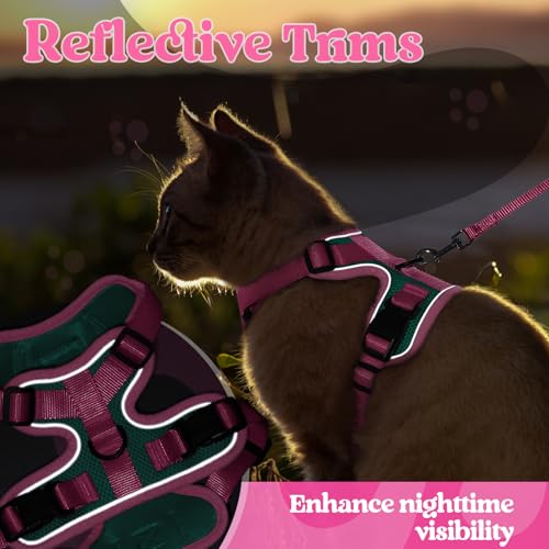 Cat Harness and Leash Set (Green & Pink / Xxs)