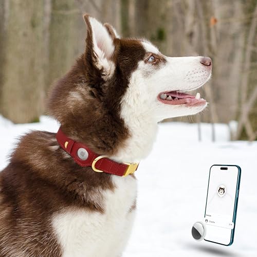 Leather Airtag Dog Collar (Red / L, 17"-21" Neck Fit)