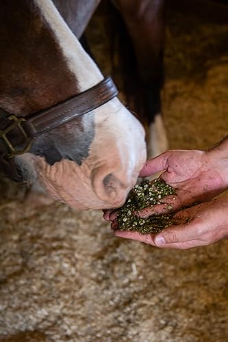 Low Starch Horse Feed (40 Pound (Pack of 1))
