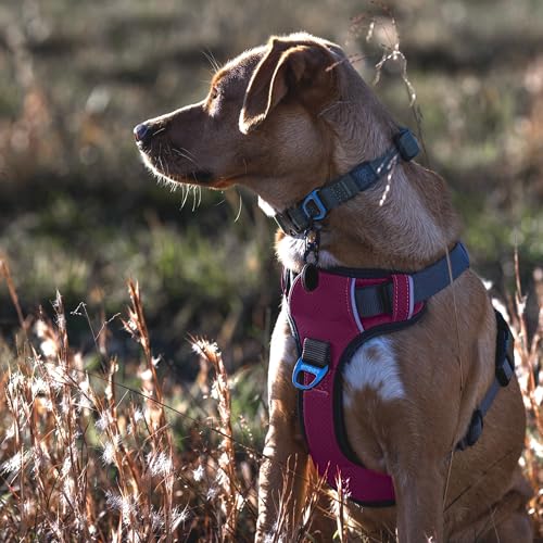 Embark No Pull Dog Harness (XL / Pink)