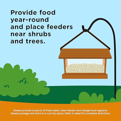 Ultimate Wild Finch Blend Wild Bird Food (10 Pound (Pack of 1))