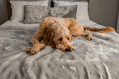 PupProtector Waterproof Throw Blanket for Dogs and Cats (Short Grey / Large (80" L x 62" W))