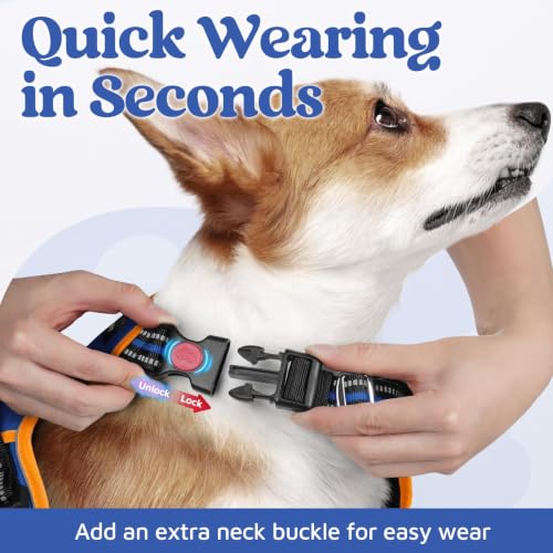 Dog Harness Medium Sized (Royal Blue & Orange / Medium)