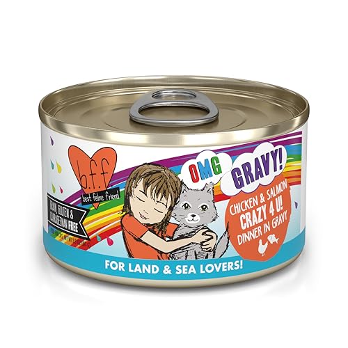 B.F.F. OMG Best Feline Friend Oh My Gravy! Grain (2.8 Ounce (Pack of 12))