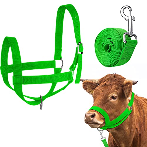 Cow Halter Adjustable with Leading Rope (Medium / Green)