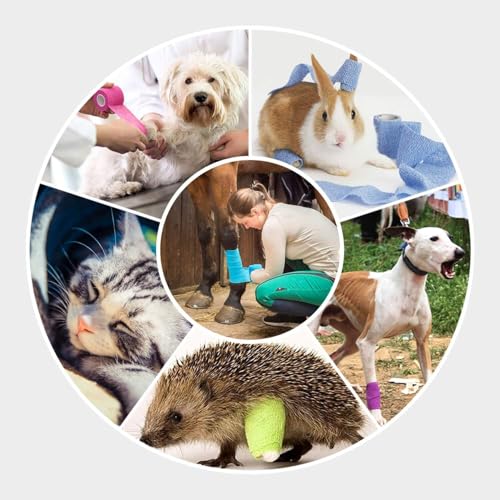 Pet Wrap Self (2 Inch (Pack of 6) / Solid Color, 6 of Black)