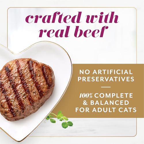 Purina Fancy Feast Gems Wet Cat Food with Beef (4 Ounce (Pack of 8))