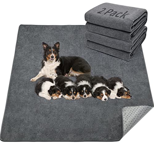 Washable Pee Pads for Dogs (36"*41" Gray)