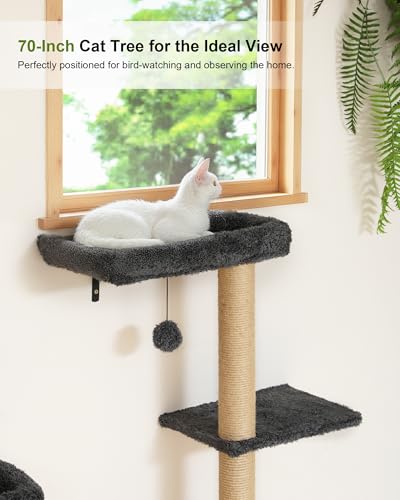 Cat Wall Shelves Set (Grey)
