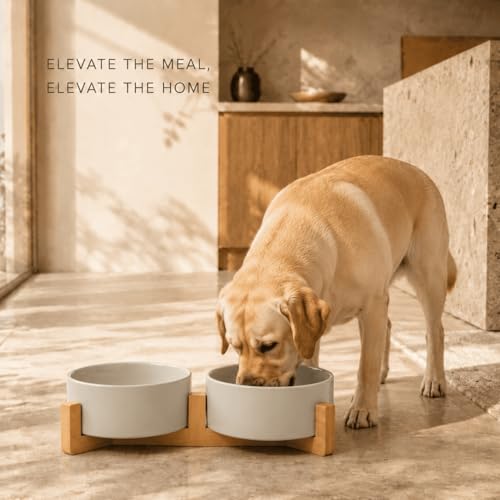 Ceramic Dog and Cat Bowl Set with Wooden Stand (5 cups / Grey × 2)