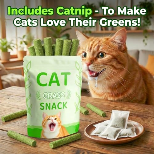 100g Freeze Dried Catnip Chew Sticks Hairball Dental Treat for Cat (100g/3.53oz)