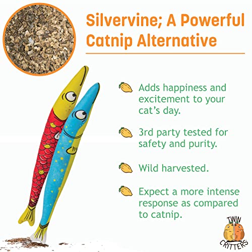 Silvervine Sardine 2 (Sardines)