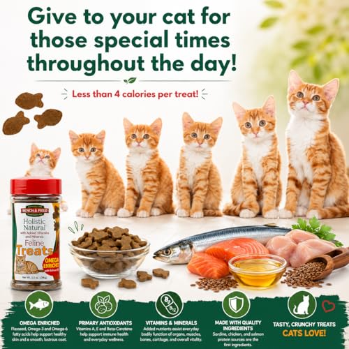 Holistic Natural Healthy Kitty Cat Treats (3 Ounce (Pack of 4))